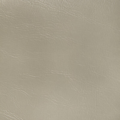 Kravet Contract Rambler.11.0 Rambler Upholstery Fabric in Fog/Grey/Taupe