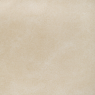 Kravet Contract Rambler.1116.0 Rambler Upholstery Fabric in Muslin/Ivory/Beige