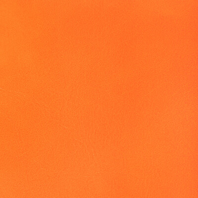 Kravet Contract Rambler.12.0 Rambler Upholstery Fabric in Casaba/Orange