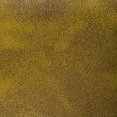 Kravet Contract Rambler.130.0 Rambler Upholstery Fabric in Cactus/Olive Green/Sage/Green