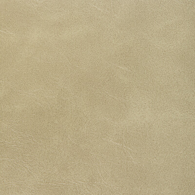 Kravet Contract Rambler.16.0 Rambler Upholstery Fabric in Prairie/Beige/Wheat