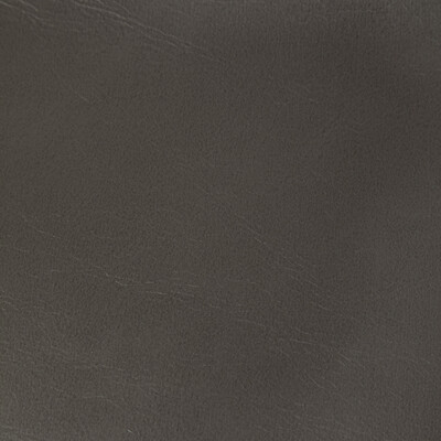 Kravet Contract Rambler.21.0 Rambler Upholstery Fabric in Gunmetal/Charcoal/Grey