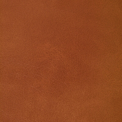 Kravet Contract Rambler.24.0 Rambler Upholstery Fabric in Canyon/Orange/Rust/Red