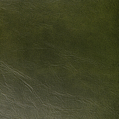 Kravet Contract Rambler.3.0 Rambler Upholstery Fabric in Verde/Emerald/Olive Green/Green