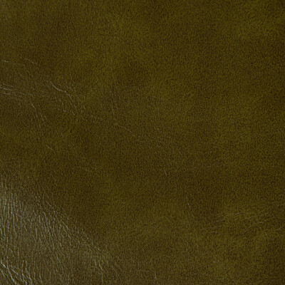 Kravet Contract Rambler.303.0 Rambler Upholstery Fabric in Olive Branch/Olive Green/Sage/Green
