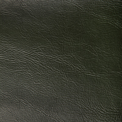 Kravet Contract Rambler.33.0 Rambler Upholstery Fabric in Loden/Olive Green/Sage/Green