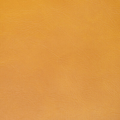 Kravet Contract Rambler.4.0 Rambler Upholstery Fabric in Saffron/Yellow