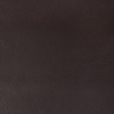 Kravet Contract Rambler.6666.0 Rambler Upholstery Fabric in Bison/Espresso/Chocolate/Brown