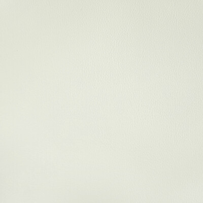 Kravet Contract RAND.1.0 Rand Upholstery Fabric in Gesso/White