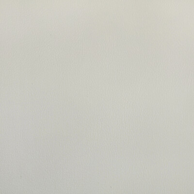 Kravet Contract RAND.1101.0 Rand Upholstery Fabric in Fog/White