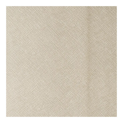 Kravet Contract ROXANNE.116.0 Roxanne Upholstery Fabric in Beige , Metallic , Pearl Mica