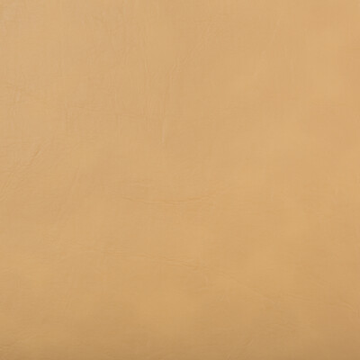 Kravet Contract RUGGED.6.0 Rugged Upholstery Fabric in Khaki , Khaki , Yam
