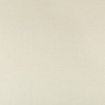 Kravet Contract SIDNEY.111.0 Sidney Upholstery Fabric in Light Grey , Light Grey , Starlight