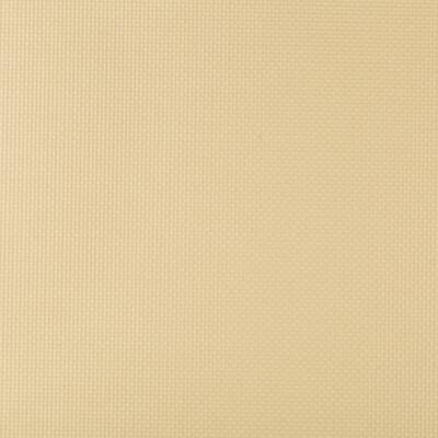 Kravet Contract SIDNEY.114.0 Sidney Upholstery Fabric in Beige , Beige , Bubbly