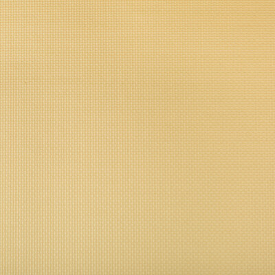 Kravet Contract SIDNEY.14.0 Sidney Upholstery Fabric in Gold , Gold , Soft Gold