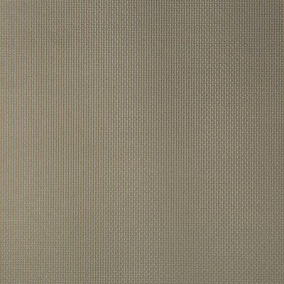 Kravet Contract SIDNEY.2121.0 Sidney Upholstery Fabric in Taupe , Taupe , Porcini
