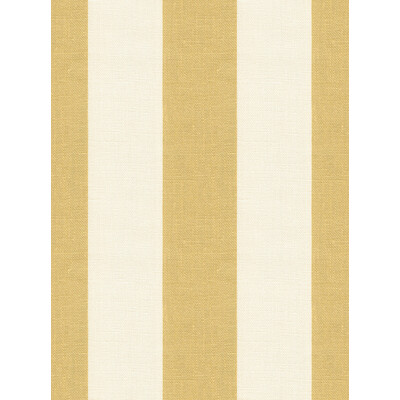 Kravet Design SPARKLE.14.0 Sparkle Multipurpose Fabric in Gold/White/Yellow