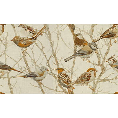Kravet Couture SPARROWS2.611.0 Perched Multipurpose Fabric in Beige , Brown , Natural