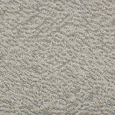 Kravet Contract SPARTAN.11.0 Spartan Upholstery Fabric in Grey , Grey , Pewter