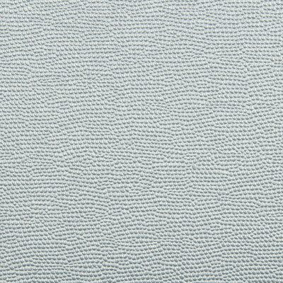 Kravet Contract SPARTAN.15.0 Spartan Upholstery Fabric in Light Blue , Light Blue , Iceberg