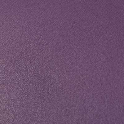 Kravet Contract SYRUS.10.0 Syrus Upholstery Fabric in Purple , Purple , Grape