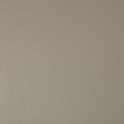 Kravet Contract SYRUS.106.0 Syrus Upholstery Fabric in Taupe , Taupe , Driftwood