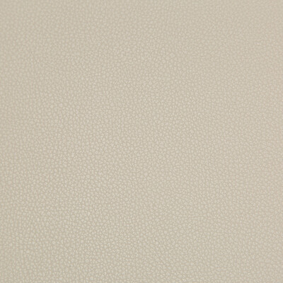 Kravet Contract SYRUS.1116.0 Syrus Upholstery Fabric in Light Grey , Light Grey , Stone