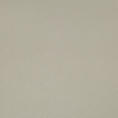 Kravet Contract SYRUS.1121.0 Syrus Upholstery Fabric in Grey , Grey , Stingray
