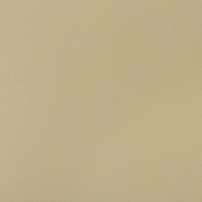 Kravet Contract SYRUS.1616.0 Syrus Upholstery Fabric in Beige , Beige , Stucco