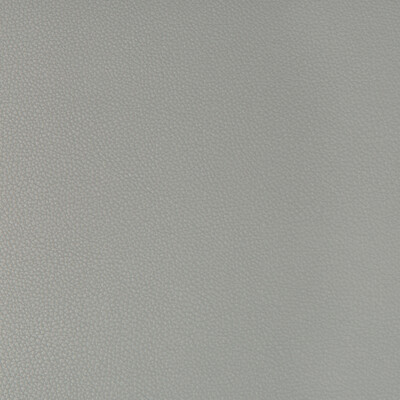 Kravet Contract SYRUS.21.0 Syrus Upholstery Fabric in Grey , Grey , Nickel
