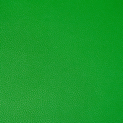 Kravet Contract SYRUS.3.0 Syrus Upholstery Fabric in Green , Green , Lucky