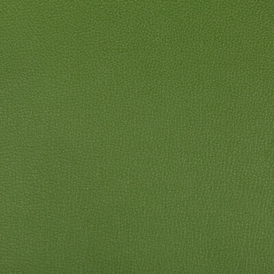 Kravet Contract SYRUS.303.0 Syrus Upholstery Fabric in Green , Green , Bonsai