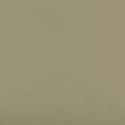 Kravet Contract SYRUS.311.0 Syrus Upholstery Fabric in Olive Green , Olive Green , Sage