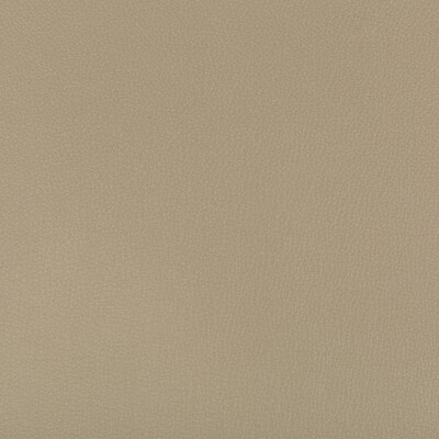 Kravet Contract SYRUS.316.0 Syrus Upholstery Fabric in Khaki , Khaki , Elm