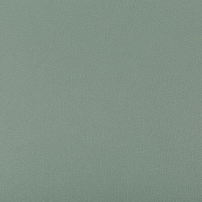 Kravet Contract SYRUS.3511.0 Syrus Upholstery Fabric in Khaki , Khaki , Herbal