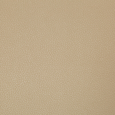 Kravet Contract SYRUS.61.0 Syrus Upholstery Fabric in Beige , Beige , Quicksand