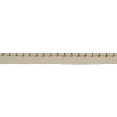 Kravet Design T30756.106.0 Whip Stitch Cord Trim Fabric in Taupe ,  , Stone