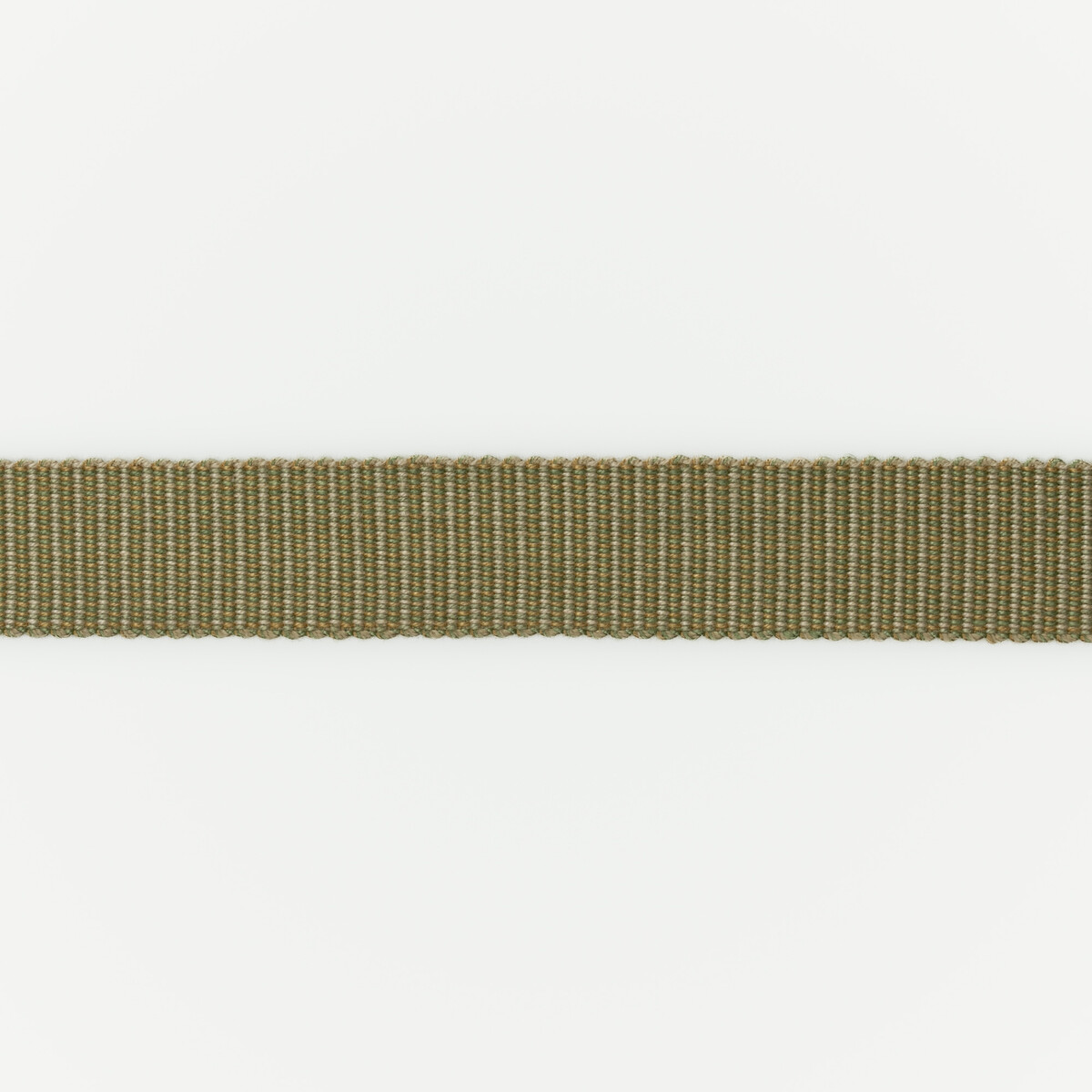 G P & J Baker T6026.730.0 Perandor Plain Braid Trim Fabric in Green/gold