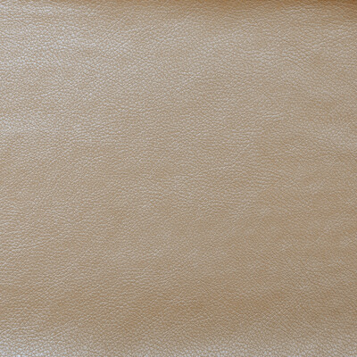 Kravet Couture TANTALUM.1.0 Tantalum Upholstery Fabric in White , White , Aura