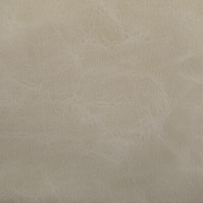 Kravet Contract TONI.106.0 Toni Upholstery Fabric in Dune/Taupe/Beige
