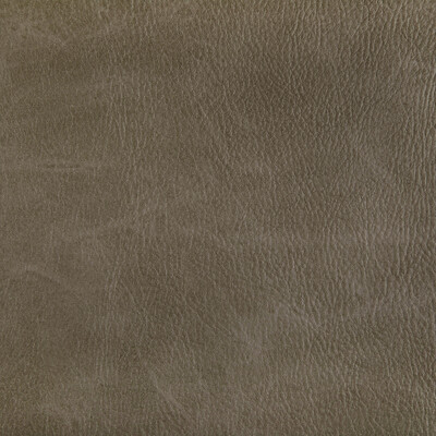 Kravet Contract TONI.6.0 Toni Upholstery Fabric in Field/Brown