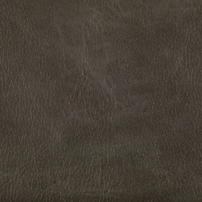 Kravet Contract TONI.66.0 Toni Upholstery Fabric in Rustler/Brown