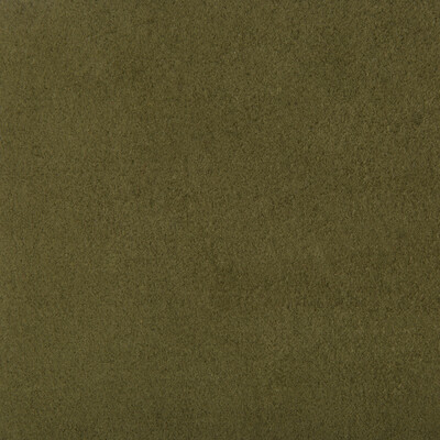 Kravet Design ULTRASUEDE.30.0 Ultrasuede Upholstery Fabric in Green , Green , Sap