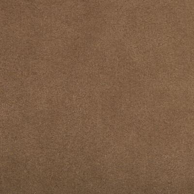 Kravet Design ULTRASUEDE.6.0 Ultrasuede Upholstery Fabric in Brown , Brown , Mole Skin