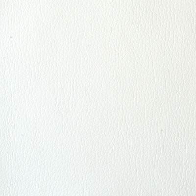 Kravet Contract VALERA.1.0 Valera Upholstery Fabric in White , White , Marshmallow