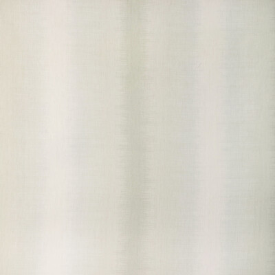 Kravet Basics Vanish.130.0 Vanish Multipurpose Fabric in Lichen/Green/White