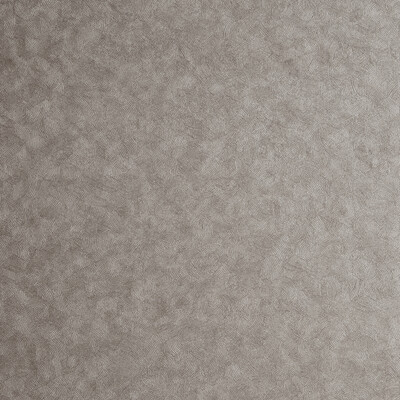 Clarke And Clarke W0056/06.CAC.0 Hexagon Wallcovering Fabric in Pewter