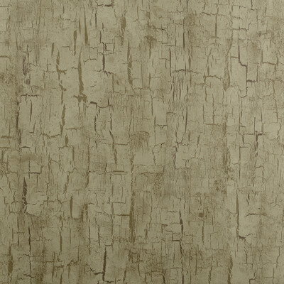 Clarke And Clarke W0062/01.CAC.0 Tree bark Wallcovering Fabric in Antique
