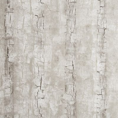 Clarke And Clarke W0062/02.CAC.0 Tree bark Wallcovering Fabric in Birch