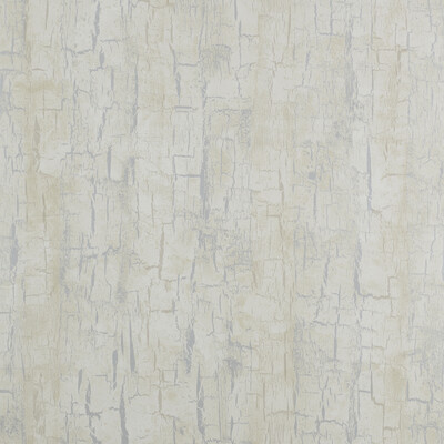 Clarke And Clarke W0062/04.CAC.0 Tree bark Wallcovering Fabric in Pearl